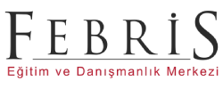 Febris Danışmanlık