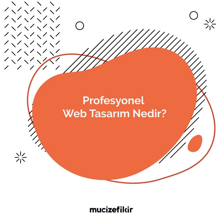 Profesyonel Web Tasarım Nedir?
