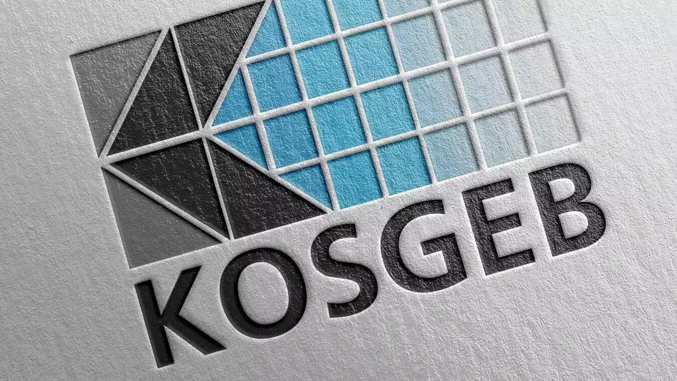 kosgeb destek