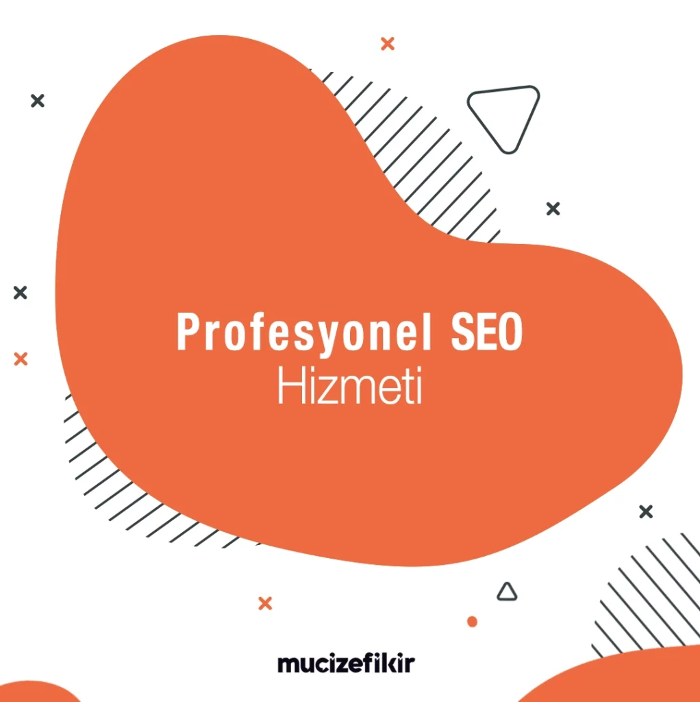 profesyonel seo hizmeti