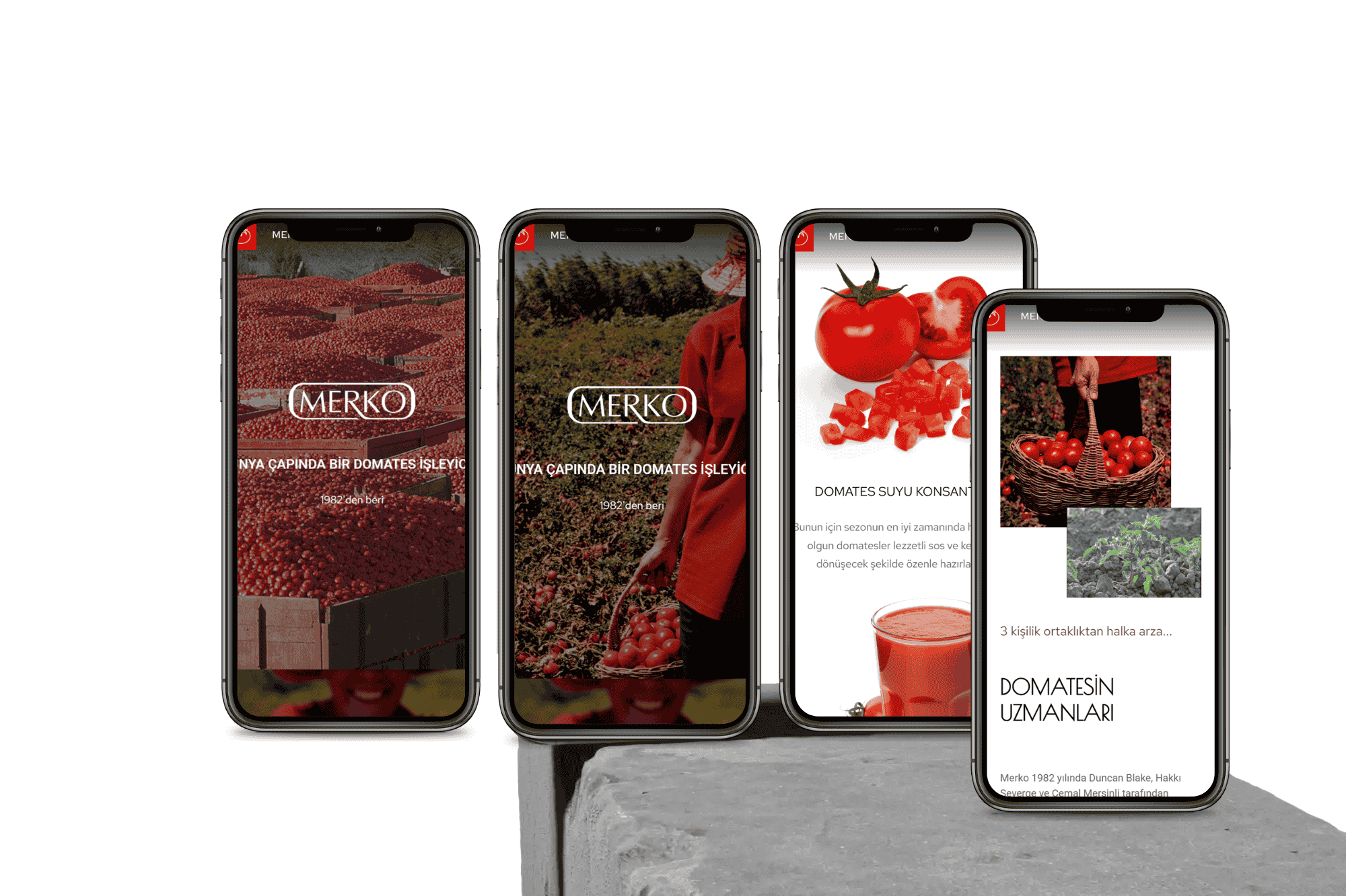Mucizefikir Merko Websitesi Prjesi Dijital Pazarlama Ajansı